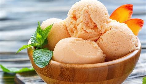 Sugar Free Dreamy Orange Cream Ice Cream Brenda Gantt Recipes