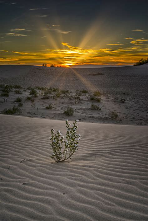 Monahans Sunset Andy Morgan Photography