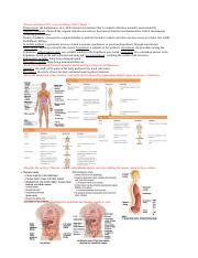 Anatomy Review Sheet 9 27 22 Pdf Review And Know ALL Your