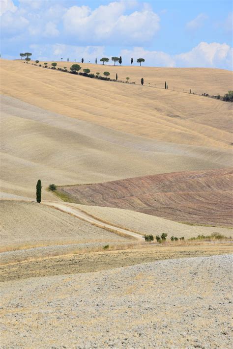 Cosa Fare E Cosa Vedere In Val D Orcia Visita Ai Cipressi Di San