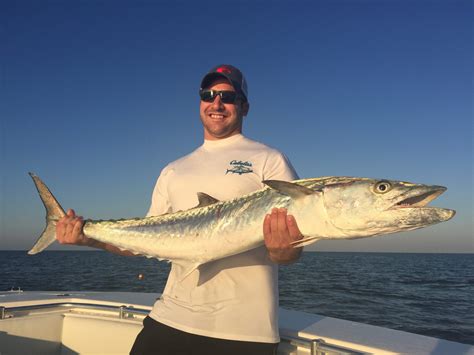 King Mackerel Fishing Clearwater FL | FishEye Sportfishing