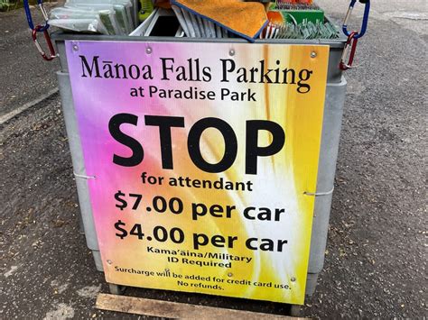 Hiking the Manoa Falls Trail in 2024: Tips + Practical Info