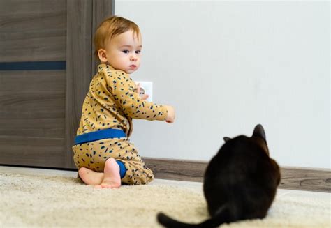 B B Jouant Avec Une Prise Lectrique Sur Le Sol La Maison Enfant