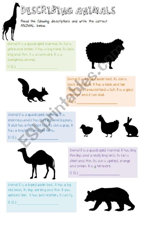 Describing Animals Worksheet