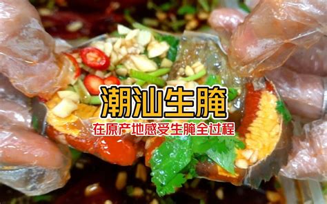 潮汕生腌的正确打开方式！ Bilibilib站无水印视频解析——yiuios易柚斯