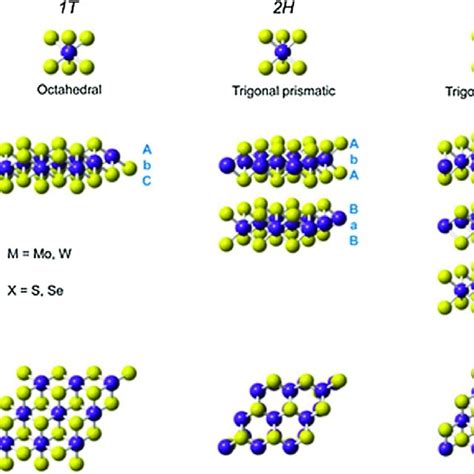 Metals Coordination In Octahedral And Trigonal Prismatic Geometry The Download Scientific