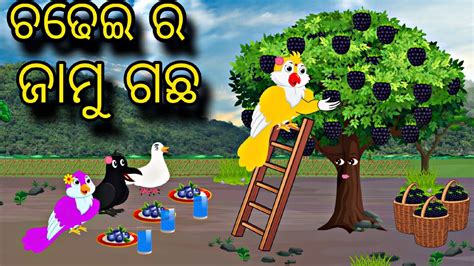 Chadhei Ra Jamu Gacha Odia Stories Odia Gapa Bird Story New