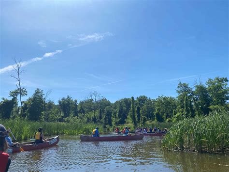 BCWK Wetland Watch Hub