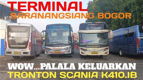 LUAR BIASA PALALA BUS AKAP PERTAMAYANG AKAN KELUARKAN UNIT