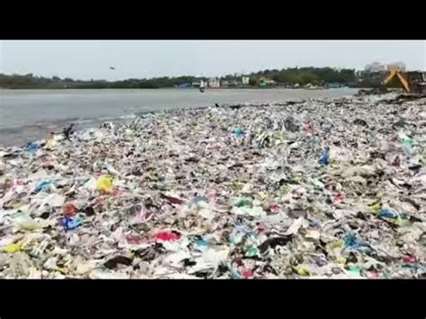 A Scavenger Who Cleans Up The Garbage And The Money He Earns By Selling