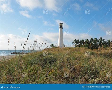 Bill Baggs Cape Florida State Park. Stock Image - Image of baggs, beach ...