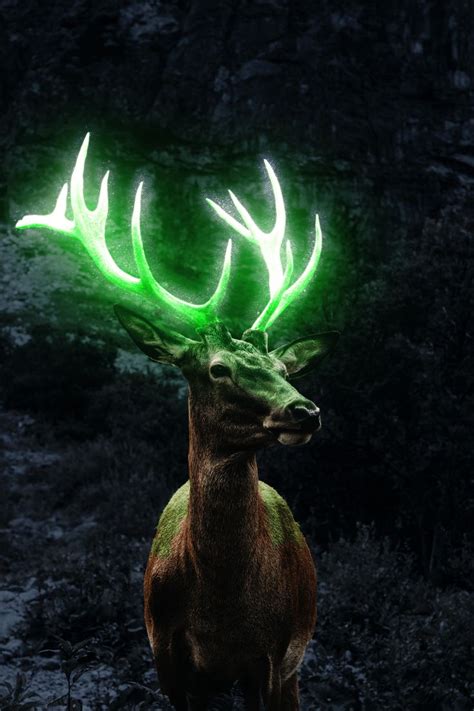 Deer Glow Effect on Behance | Glow effect, Forest creatures, Deer