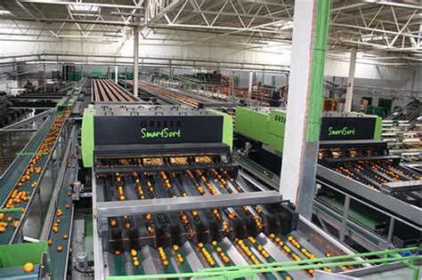 Machine De Tri Pour L Industrie Agroalimentaire SMARTSORT Greefa