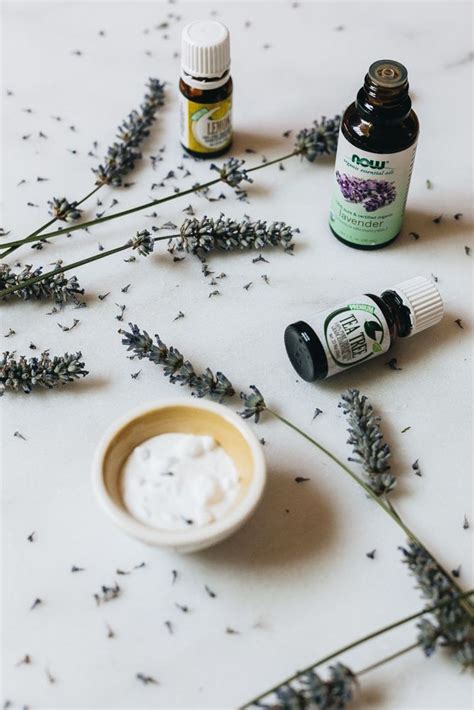 Essential Oils For Spider Repellent Diy Sprays Homemade Essential