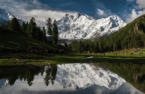 Nanga Parbat Naked Mountain From Fairy By Johan Assarsson