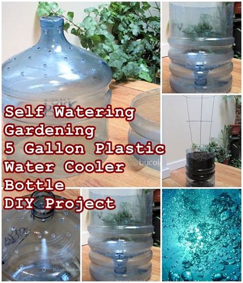 Self Watering Gardening 5 Gallon Plastic Water Cooler Bottle Diy Project The Homestead