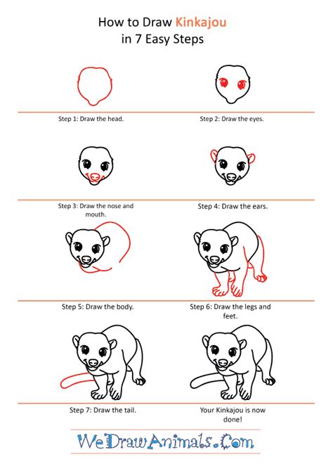 How to Draw a Cartoon Kinkajou