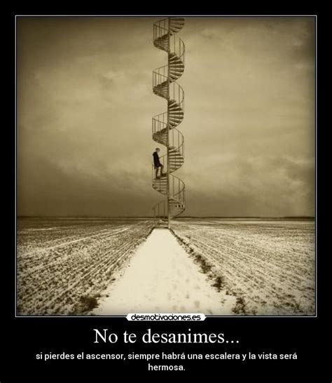 No Te Desanimes Desmotivaciones