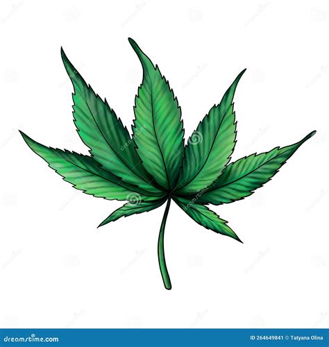 Hoja De Cannabis Aislada En Un Fondo Blanco Marihuana Verde C Amo