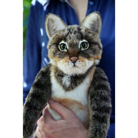Новый котик на прогулке😺 А я сегодня взяла выходной... ну как выходной ...