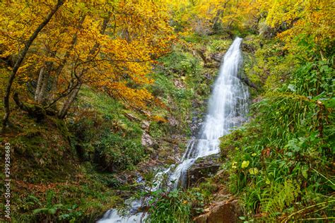 Hayedo De Montegrande Con Sus Colores Oto Ales Y Cascada Del Xiblu