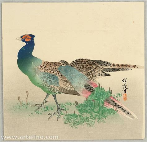 平福穂庵 Pheasants Japanese Art Open Database 浮世絵検索