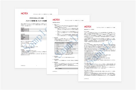 脆弱性診断パッケージとは｜lanscope プロフェッショナルサービス（旧 Secure Owl）