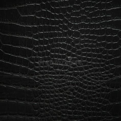 Black Snake Skin Texture for Background Stock Image - Image of design ...