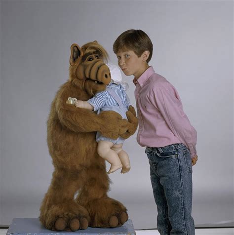 ALF 1986