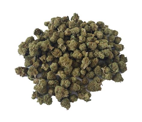 Rainbow G Small Bud Petites T Tes Culture Indoor Premium Cbd