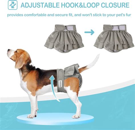 Avont Paquete De Pa Ales Lavables Para Perros Hembra Xl