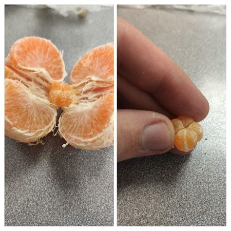 My tangerine has a mini-tangerine inside : r/mildlyinteresting