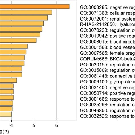 Heatmap Of The Enriched Terms Among The Input Gene Lists Upon Act