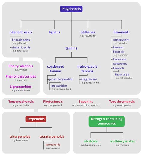 Nutrients Free Full Text Selected Seeds As Sources Of Bioactive