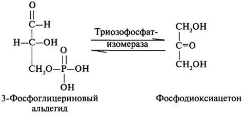 Биохимия