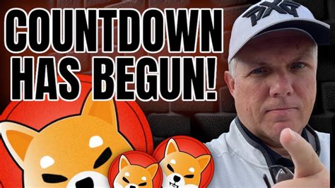 Shiba Inu The Countdown Has Begun Youtube