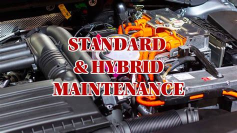 Standard and Hybrid Maintenance