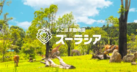 ショップ・グッズ・フォトサービスよこはま動物園ズーラシア公式サイト｜公益財団法人 横浜市緑の協会