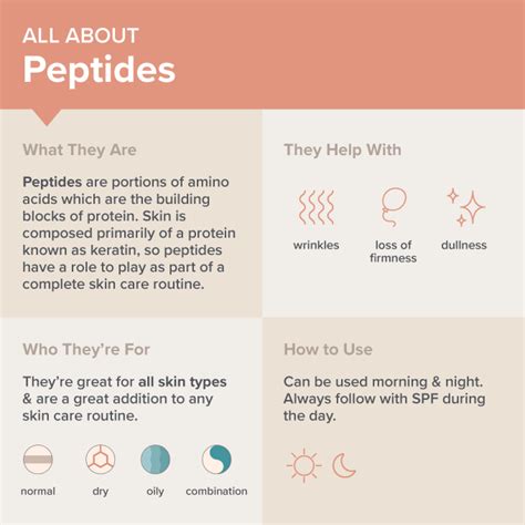 What Is Peptide In Skin Care Products?: Benefits & How To Use 
