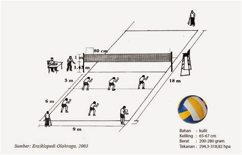 Ukuran Lapangan Bola Voli Standar Nasional Internasional And Gambarnya