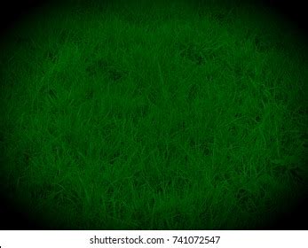 Green Grass Night Vision Effect Stock Photos and Pictures - 5 Images | Shutterstock