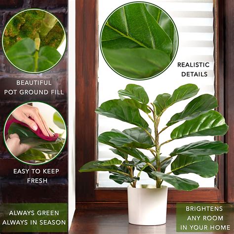 Fiddle Leaf Fig Tree Artificial 18 Inch Ficus Lyrata Faux Fig Plant