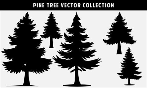 Premium Vector Set Silhouette Of Pine Trees Vector For Website And