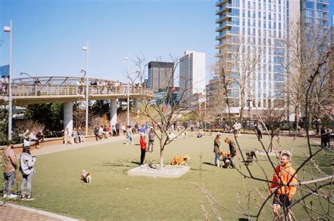 Big Dog Run in Schuylkill River Park – Being and Formulating