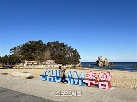 동해시 망상해수욕장 등 6곳12일 본격 개장 네이트 뉴스