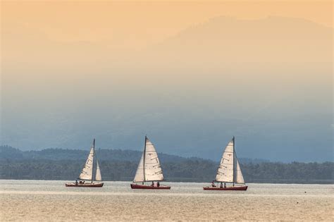 300+ Free Regatta & Sailboat Images - Pixabay