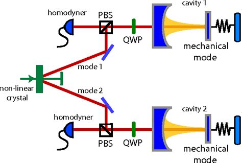 Color Online Scheme Of Principle Two Optomechanical Cavities Pumped