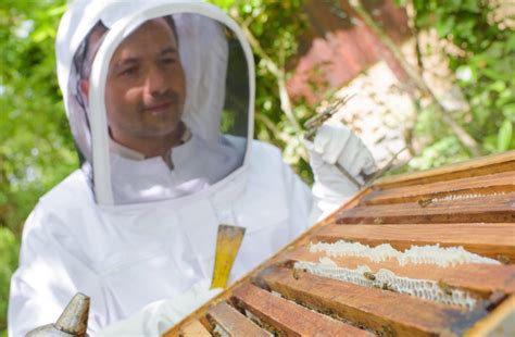 Beekeeper magic: how to become a hive tool magician - Honey Bee Suite