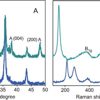 Raman Spectra Of HRP Immobilized Fe 3 O 4 TiO 2 NPs A HRP Solution