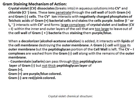 Intro To Microbiology Chapter 3 Flashcards Quizlet